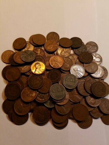 (1) Pound Lb Bag Of Indian & Lincoln Wheat Pennies Cents Estate Coin Hoard